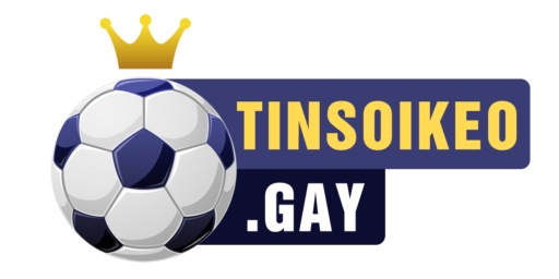 LOGO-TINSOIKEO-GAY